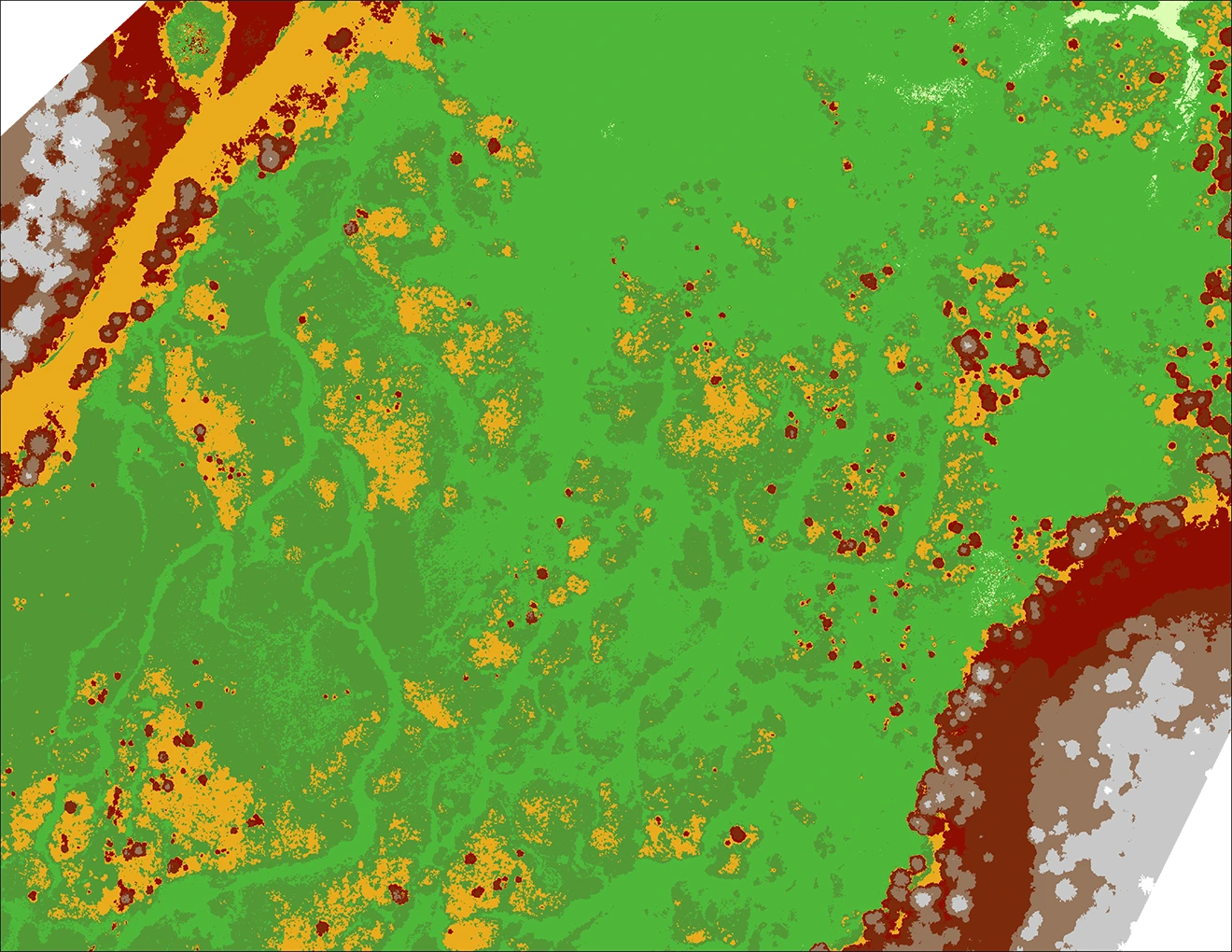 Digital Surface Model (DSM) generated from the RGB photogrammetry.