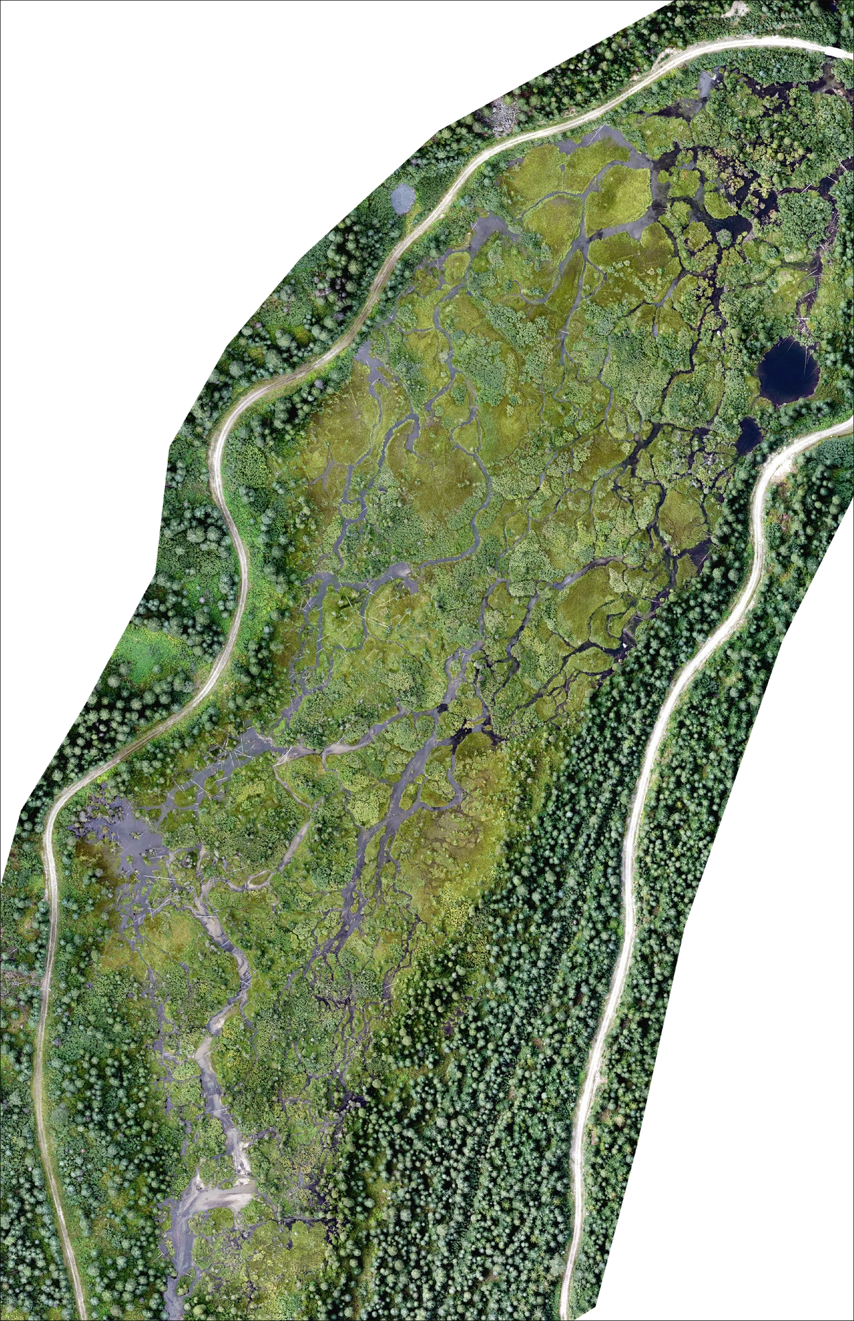 High-resolution RGB wetland orthophoto.